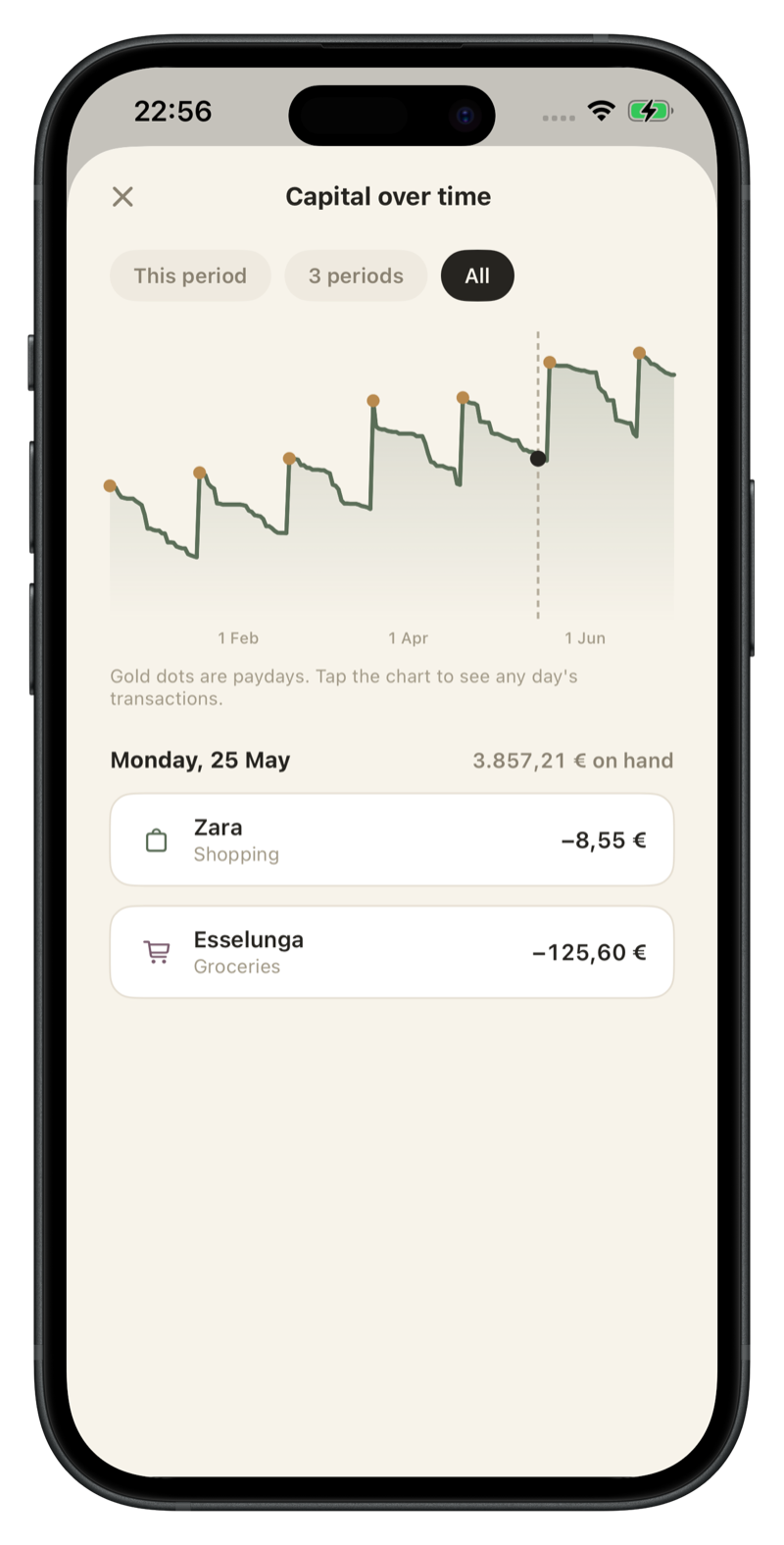 Capital over time chart